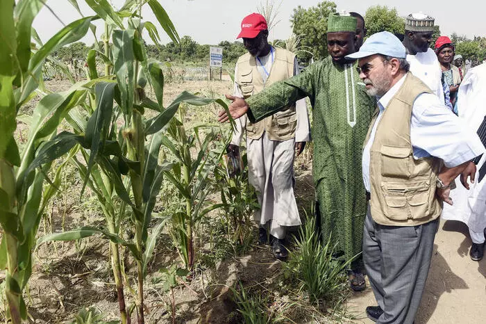 La dégradation de la sécurité alimentaire dans le nord-est du Nigeria : un défi stratégique pour la stabilité du bassin du lac Tchad
