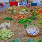 Le paradoxe d'une insécurité alimentaire persistante malgré le potentiel agricole