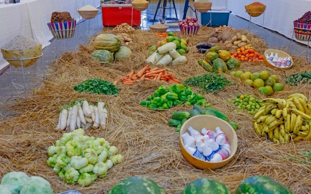 Le paradoxe d'une insécurité alimentaire persistante malgré le potentiel agricole