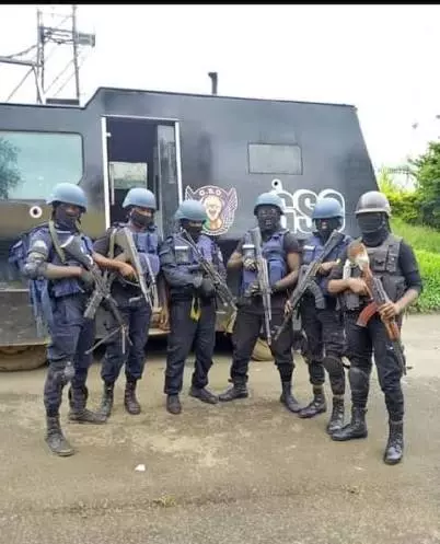 Cameroun : une criminalité organisée en constante adaptation aux failles du pays