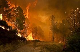 Les incendies de forêt au Canada : la sécurité environnementale au cœur des nouveaux enjeux stratégiques mondiaux
