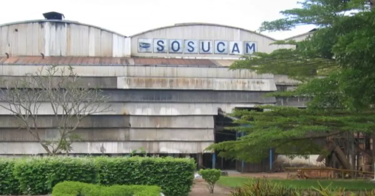 La reprise camerounaise de SOSUCAM