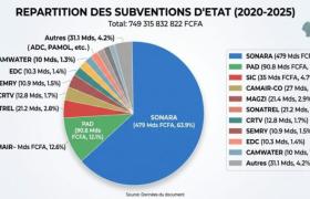 Cameroun, le rendement des subventions aux entreprises publiques en question
