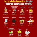 Le Cameroun et le paradoxe d'une production locale plus chère que l'importation