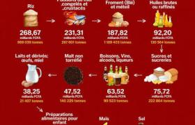 Le Cameroun et le paradoxe d'une production locale plus chère que l'importation