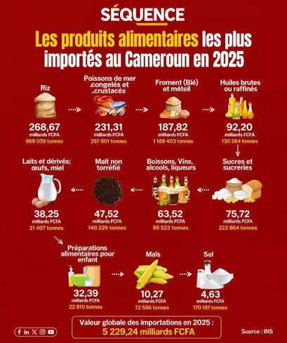 Le Cameroun et le paradoxe d'une production locale plus chère que l'importation