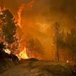 Les incendies de forêt au Canada : la sécurité environnementale au cœur des nouveaux enjeux stratégiques mondiaux
