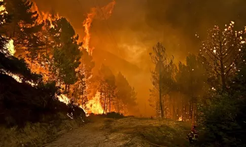 Les incendies de forêt au Canada : la sécurité environnementale au cœur des nouveaux enjeux stratégiques mondiaux