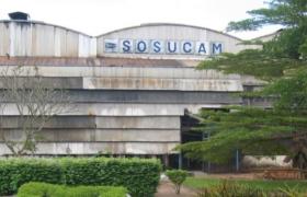 La reprise camerounaise de SOSUCAM