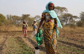 SÉCURITÉ ALIMENTAIRE ET DÉVELOPPEMENT DURABLE DU TCHAD