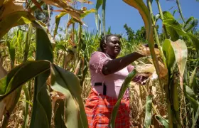 POUR UN SYSTEME AGRICOLE DURABLE EN AFRIQUE