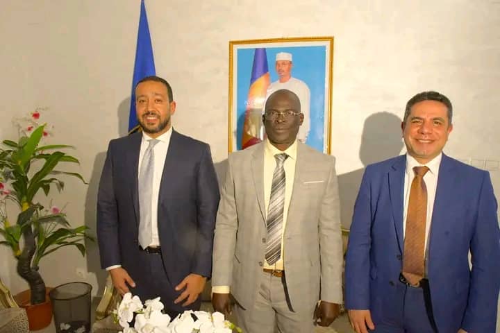 TCHAD : UN PROJET DE FIBRE OPTIQUE POUR SE CONNECTER A L’ÉGYPTE ET BOOSTER L’ÉCONOMIE NUMÉRIQUE