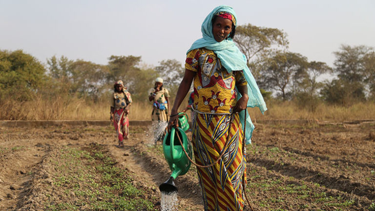 SÉCURITÉ ALIMENTAIRE ET DÉVELOPPEMENT DURABLE DU TCHAD